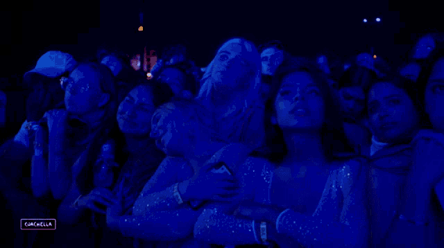 Feeling The Music Coachella GIF