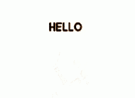 a cartoon fox is standing in front of a white background with the words `` hello '' written on it .