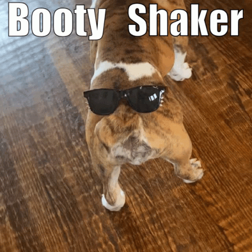 Booty Bootyshaker GIF - Booty Bootyshaker Bulldog GIFs