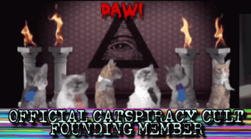 Dawi Catspiracy GIF - Dawi Catspiracy Cult GIFs