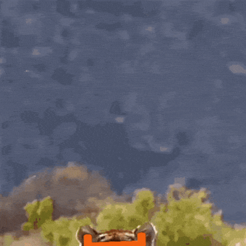 a tiger wearing a mask with the letter u on it