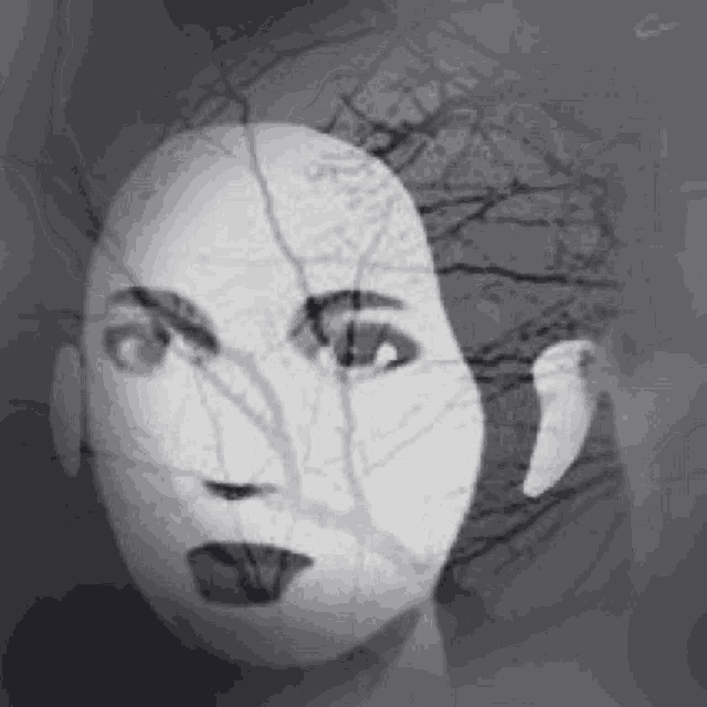 a black and white photo of a woman 's face with a tree branch behind it .
