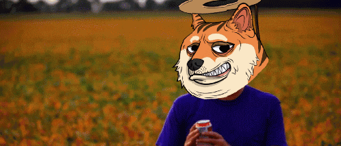 a doge with a hat on his head is holding a can of soda