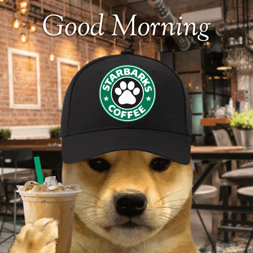 a dog wearing a hat that says starbarks coffee on it