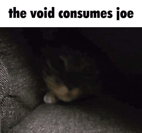 a picture of a cat in a dark room with the words the void consumes joe above it
