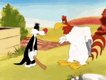 a rooster and a cat standing next to each other