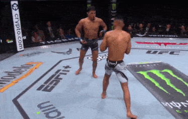 two men are fighting in a ring with a monster energy drink advertisement