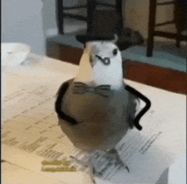 a pigeon wearing a top hat and bow tie