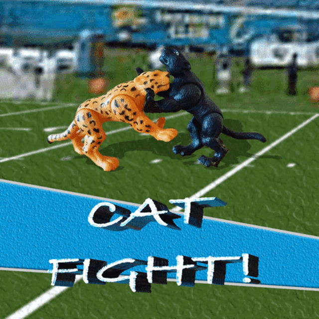 a poster that says cat fight on it with two cheetahs on a football field