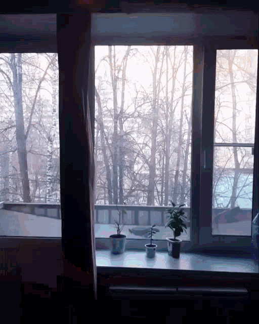 two potted plants sit on a window sill in front of a window with trees outside
