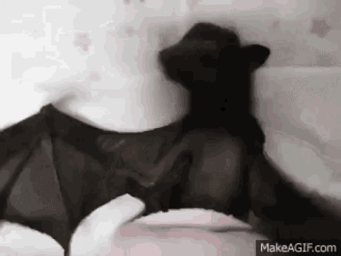 a bat is sitting on a bed with its wings spread out .