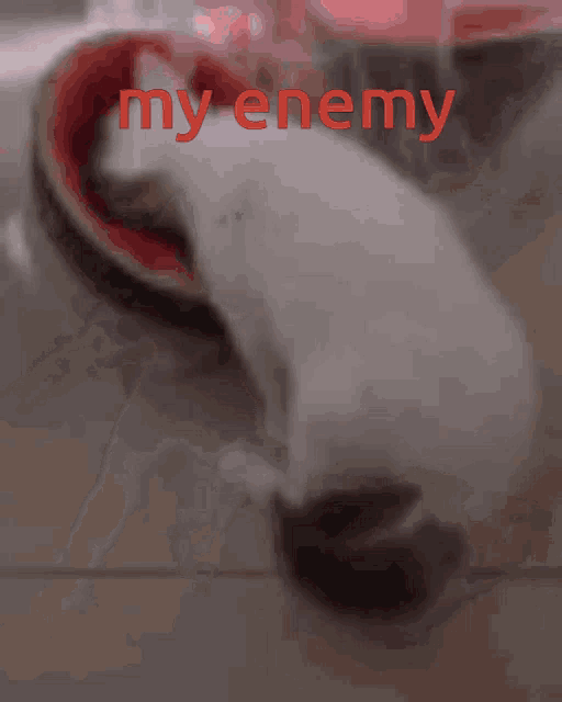 My Enemy GIF - My Enemy GIFs