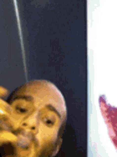 a man with a beard is taking a selfie in front of a mirror and a picture of a cat .