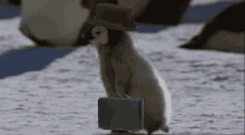 Off To Work Monday GIF - Off To Work Monday In A Hurry GIFs