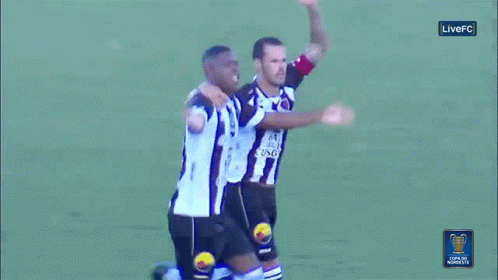 Lets Go Botafogo Vs Nautico GIF - Lets Go Botafogo Vs Nautico Celebrate GIFs