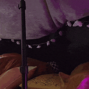 a cat with pink ears laying under a purple blanket