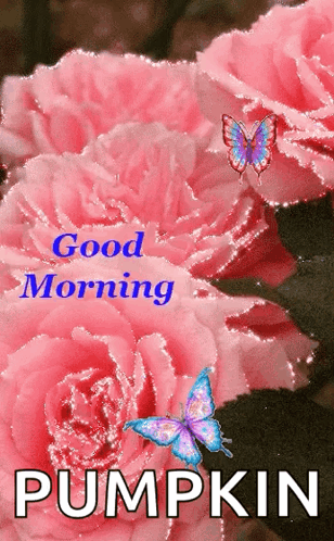 Good Morning Love You Pink Flowers