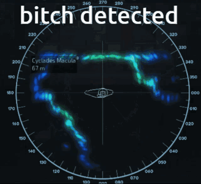 a radar screen that says bitch detected on the top