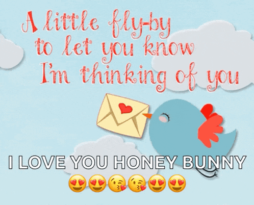 a little fly by to let you know i 'm thinking of you love you honey bunny
