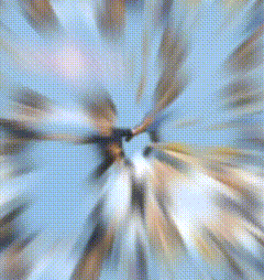 a blurry picture of a group of cartoon characters flying through the air .