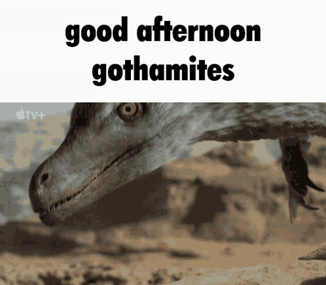 a picture of a dinosaur with the words good afternoon gothamites below it
