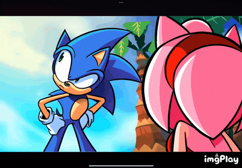 a cartoon of sonic and amy looking at each other with imgplay at the bottom