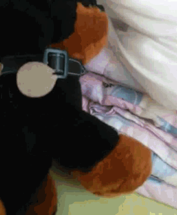 a black and brown stuffed animal is laying on a bed