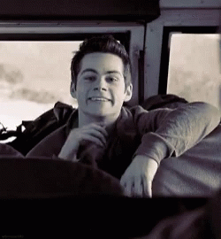 Stiles GIF - Stiles GIFs