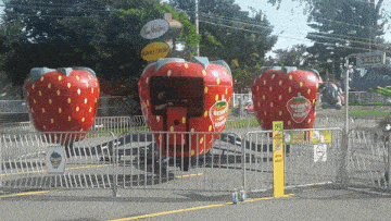 Berry Go Round Amusement Rides GIF - Berry Go Round Amusement Rides Carnival Ride GIFs