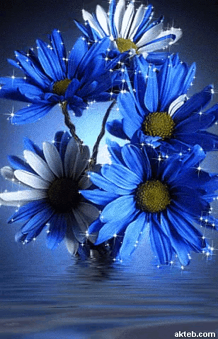 a bunch of blue and white flowers with the website akteb.com in the corner