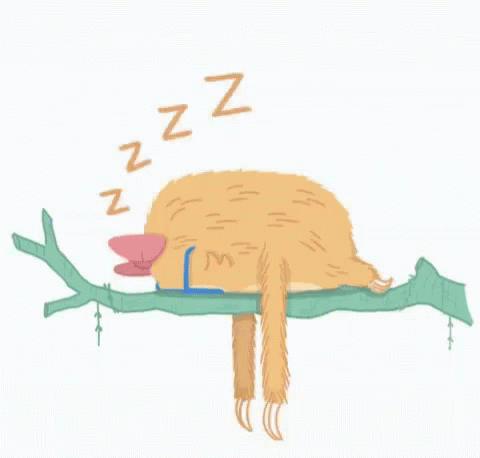 Slothalida Sleep GIF - Slothalida Sleep Zzz GIFs