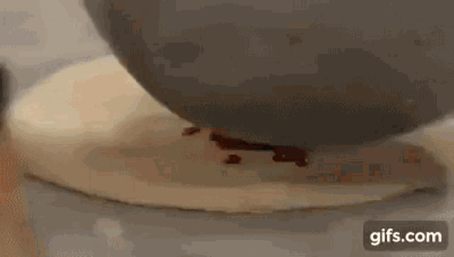 a person is spreading tomato sauce on a pizza crust .