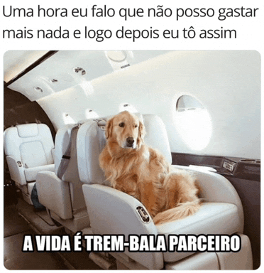 a dog is sitting in the back seat of an airplane with a caption that says uma hora eu falo que não posso gastar mais nada