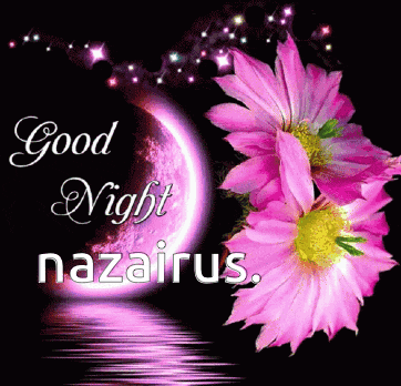 a good night greeting card with pink flowers and a purple moon