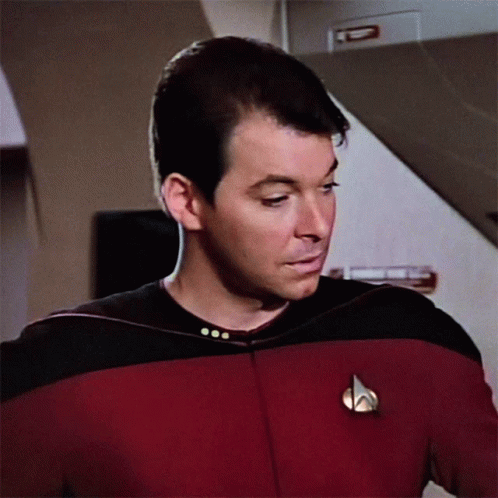 Sounds Good Cmdr William Riker GIF - Sounds Good Cmdr William Riker Star Trek GIFs