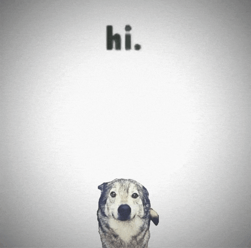 a drawing of a dog with the words hi written above it