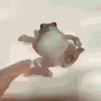 Frog Dank GIF - Frog Dank Troll GIFs