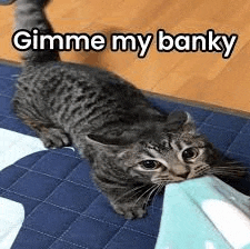 a cat is laying on a blanket on the floor and biting a blanket .