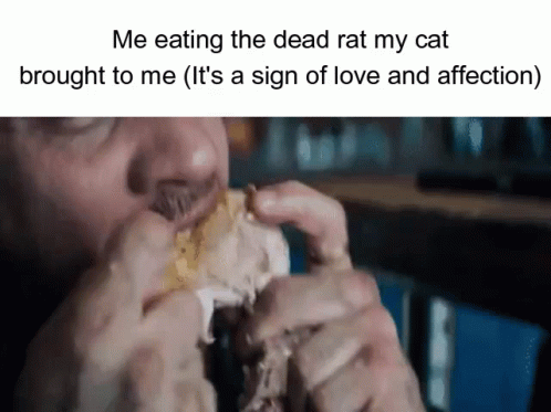 Rat Me GIF - Rat Me Eating Food GIFs