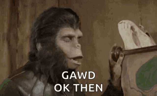 a monkey is holding a skull and says gawd ok then .