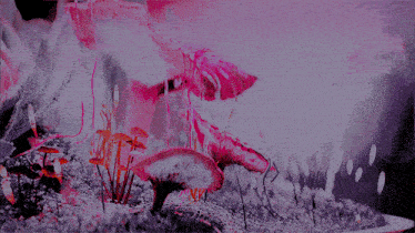 a painting of mushrooms in a pink and purple landscape