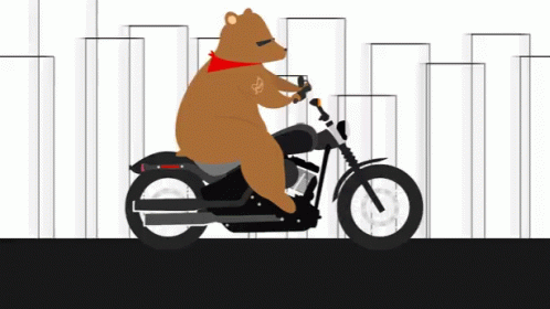 Bear Motorcycle GIF - Bear Motorcycle Mograph GIFs