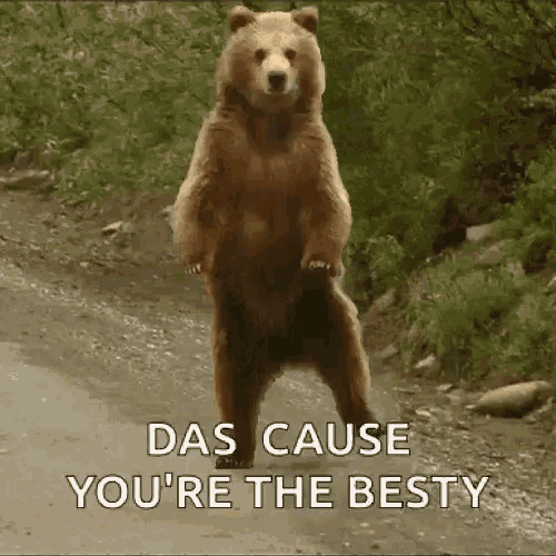 Bear Dancing GIF - Bear Dancing Funny GIFs