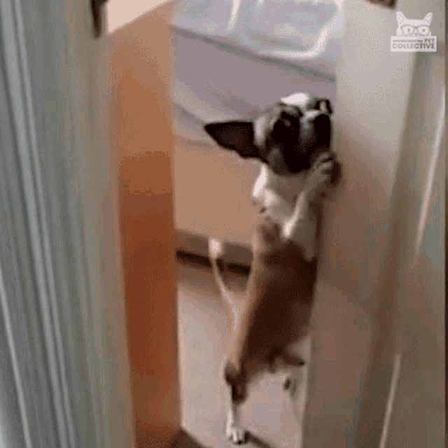 Closing The Door Get Out GIF - Closing The Door Get Out No Way GIFs