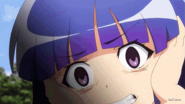 a close up of a girl 's face with the word anime on the bottom left