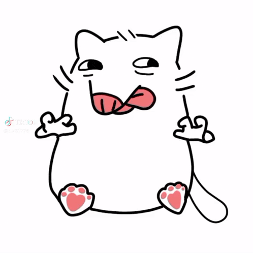 a tiktok logo with a cat in the middle