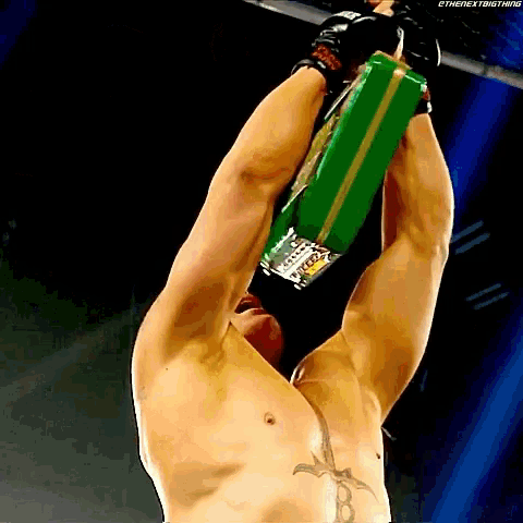 Brock Lesnar Wwe GIF - Brock Lesnar Wwe Mitb GIFs