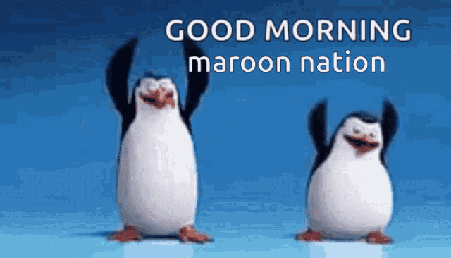 two penguins are dancing in front of a blue background with the words good morning maroon nation above them