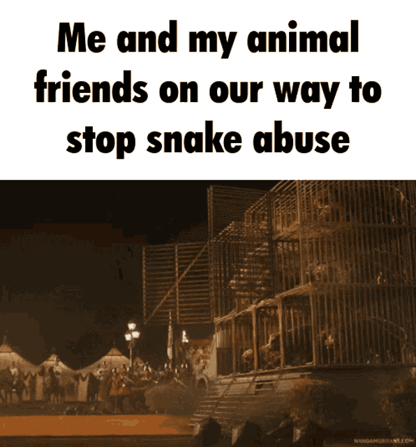 Stop Snake Abuse GIF - Stop Snake Abuse GIFs