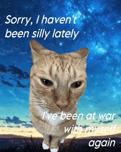 a picture of a cat with the words " sorry i haven 't been silly lately "